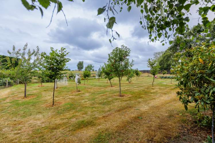 302 Timaru Road Waimate_19