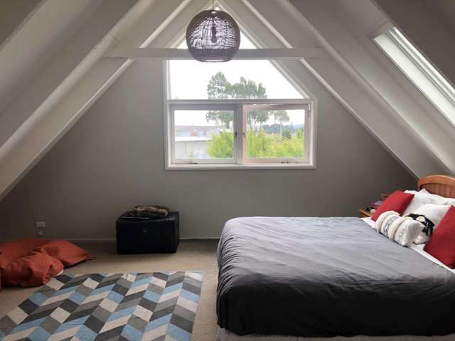 97 Spaxton Street Methven_4