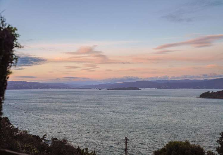 46a Grafton Road Roseneath_17