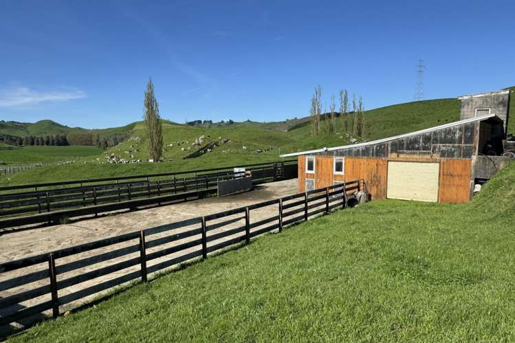 161 Veale Road Otorohanga_13