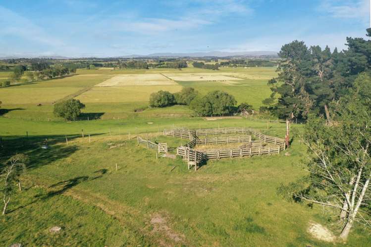 Timaru-Pleasant Point Highway Timaru Surrounds_4