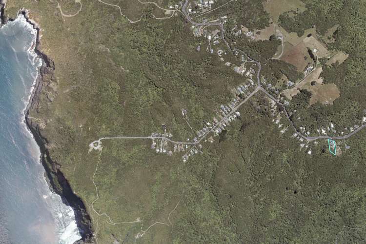 203 Piha Road Piha_45