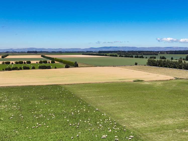 588 Freshford Plains Station Road Wendonside_16
