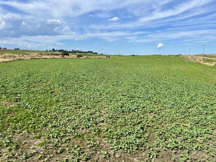 135 Orr Road Waimatua_8