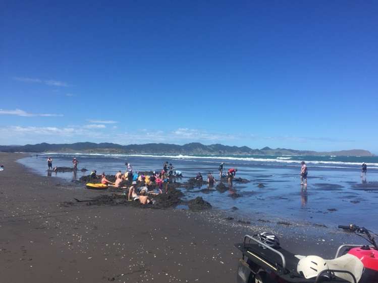 88 Lake Road Kawhia_28