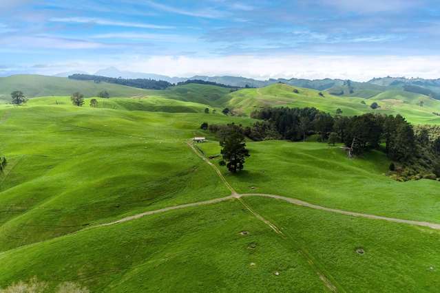 494B Dods Road Waikite Valley_3