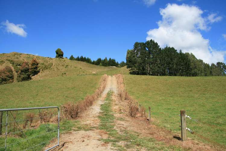 698 Mangaoapa Road Matau_19