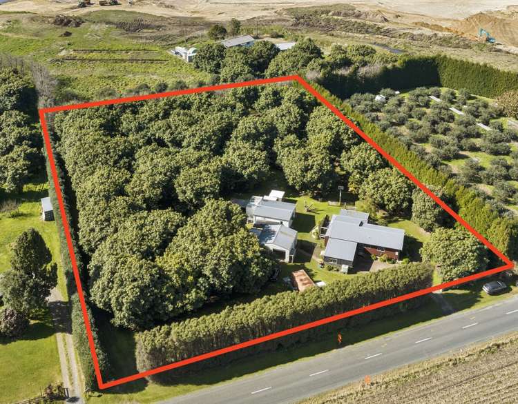 160 Young Road Paengaroa_1