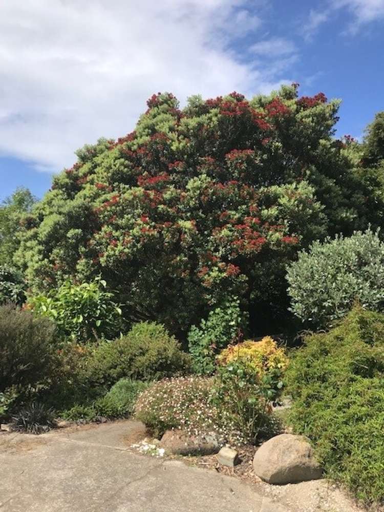 7 Tenby Street Moeraki_33