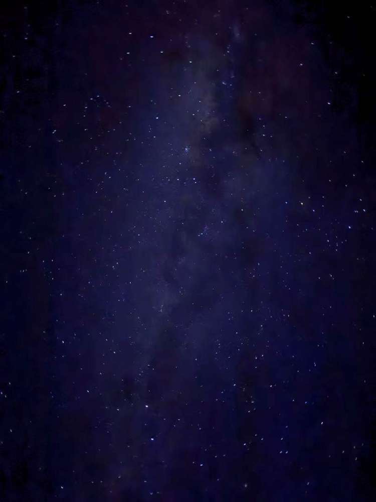 362 Wright Road Dairy Flat_14