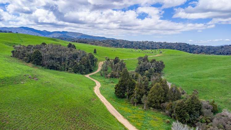 44 Te Rauamoa Road Otorohanga_29