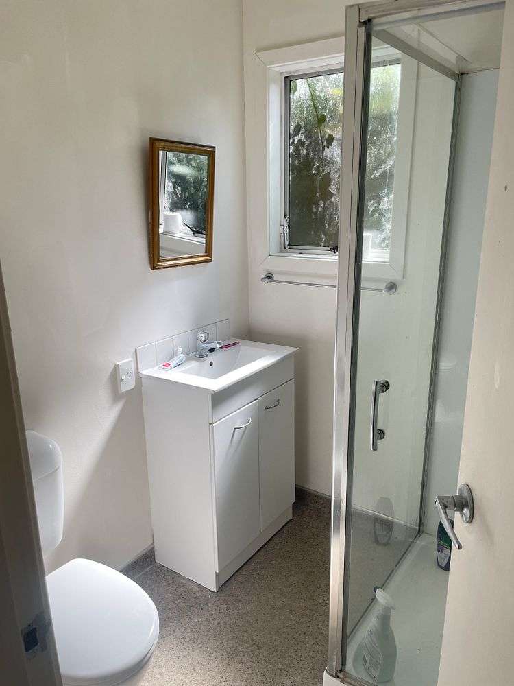 145 Aro Street Aro Valley_11