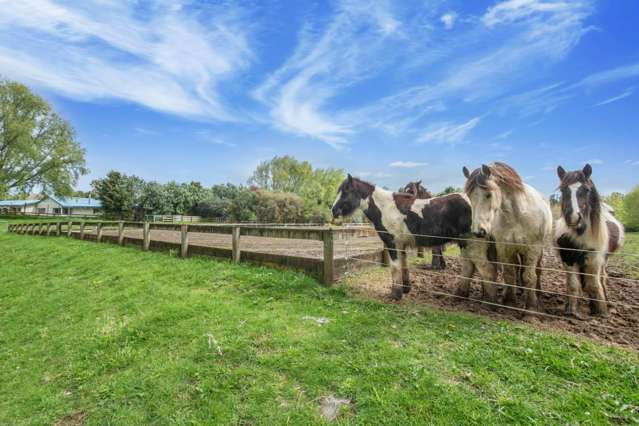 23 Twin Springs Drive Helensville_2