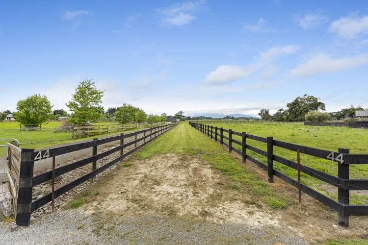 44 Tutaki Road Kelvin Grove_5