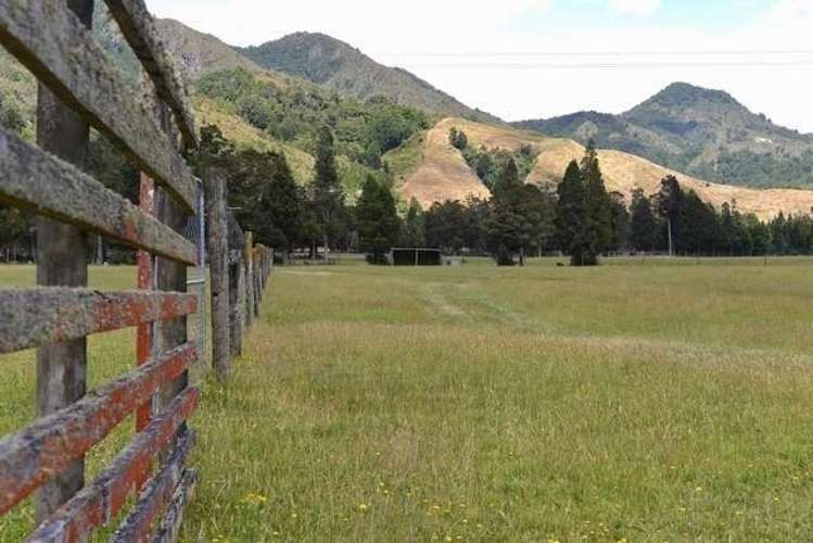 560 Shenandoah Highway Murchison_8