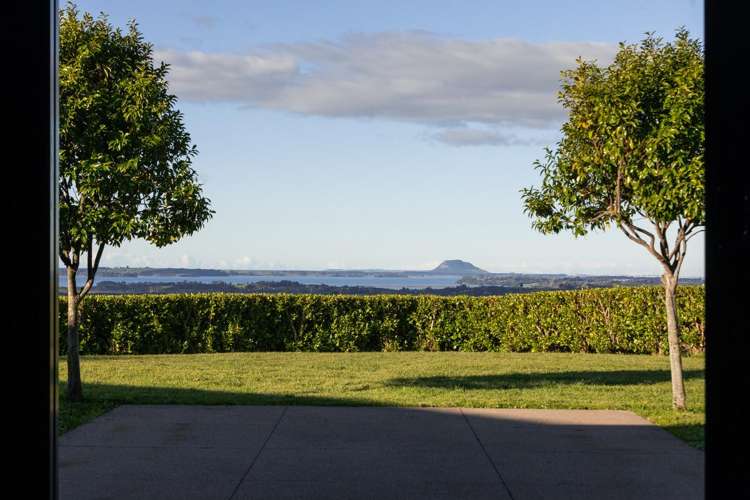 329B Thompsons Track Katikati_14