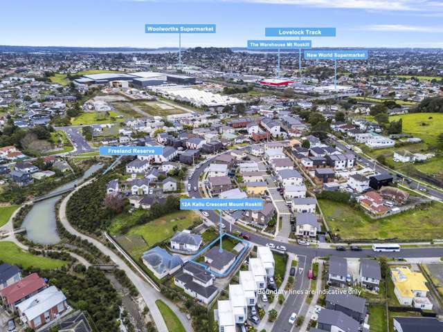 12a Kallu Crescent Mount Roskill_4