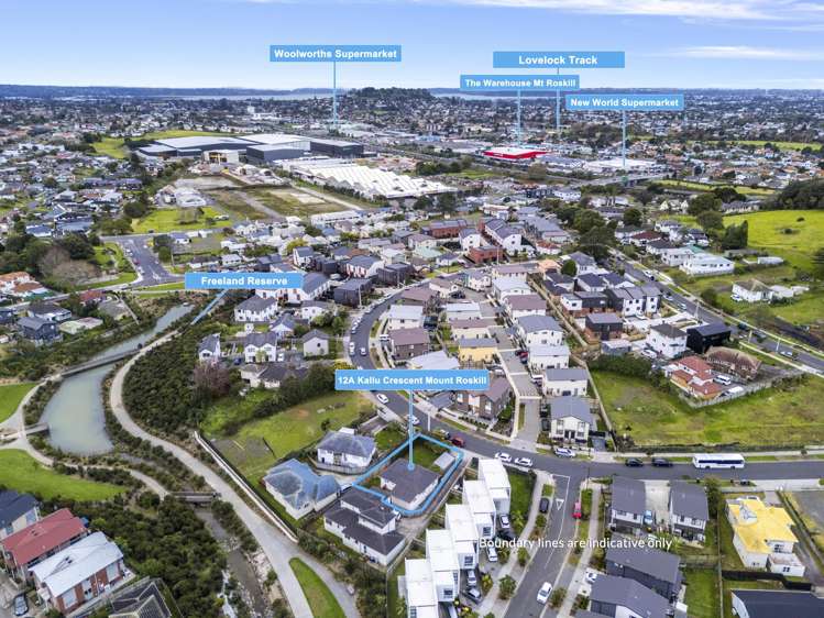12a Kallu Crescent Mount Roskill_4