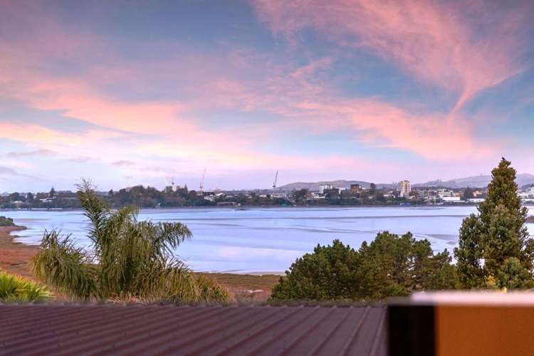 3/228 Grange Road Otumoetai_20