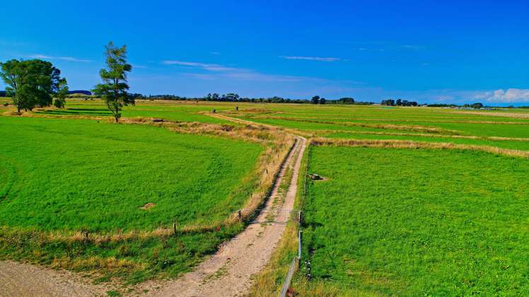 134 Waikawa Beach Road Manakau_6