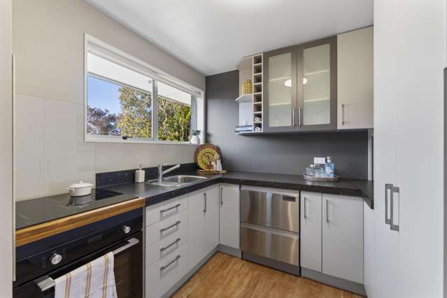 33 Gibson Drive Hornby_4