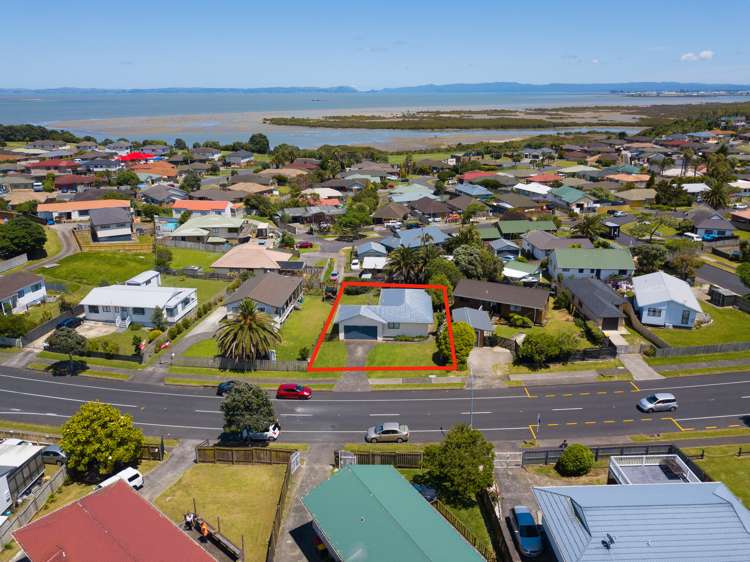 187 Finlayson Avenue Clendon Park_11