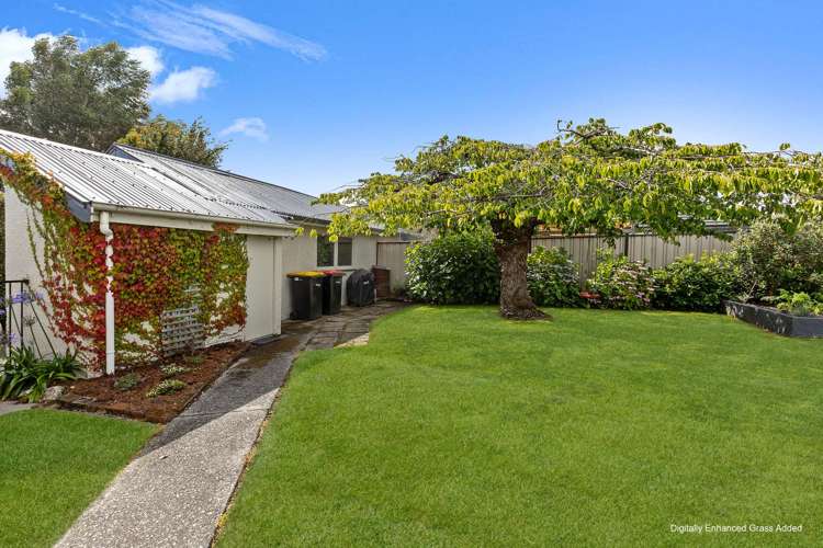 5 Park Street Gore_32