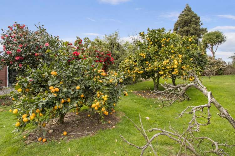 83 Pukekauri Road Waikino_18