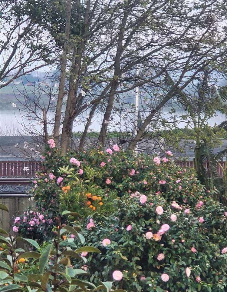 17 Hakanoa Street Huntly_27