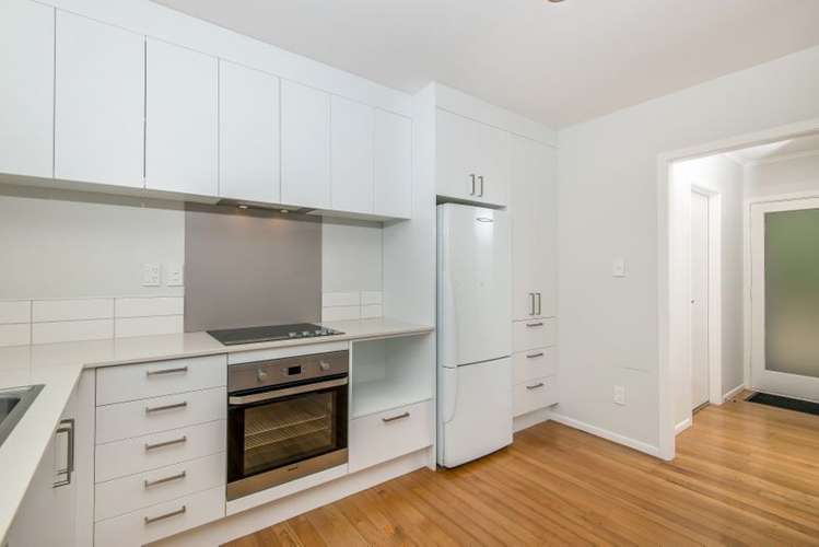 1/4 Buttle Street Remuera_4