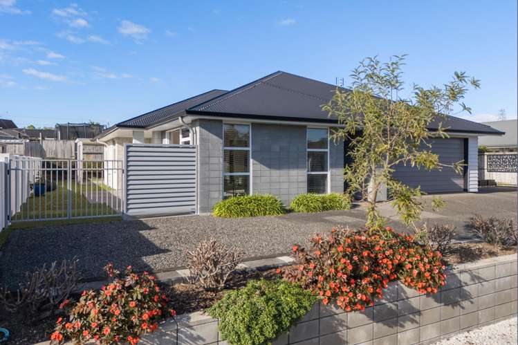 3 Charlotte Drive Omokoroa_5