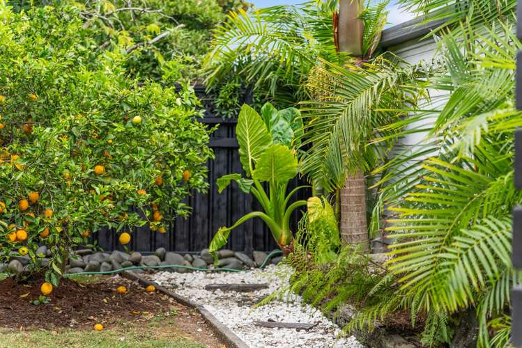 75 Harris Street Pukekohe_11