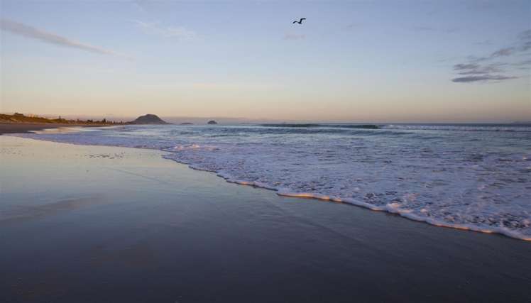 36 Coast Boulevard Papamoa_4