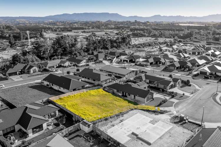 6 Madeleine Place Omokoroa_8