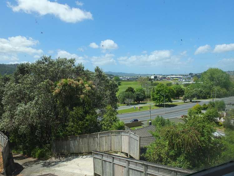 250 Western Hills Drive Avenues_13