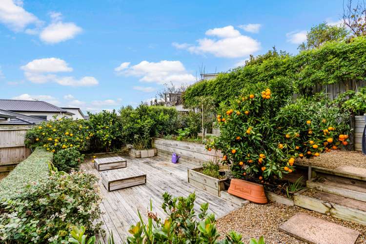 24 Atalanta Way Beachlands_15