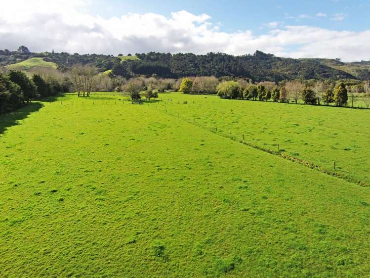 310 Mcnicol Road Clevedon_18