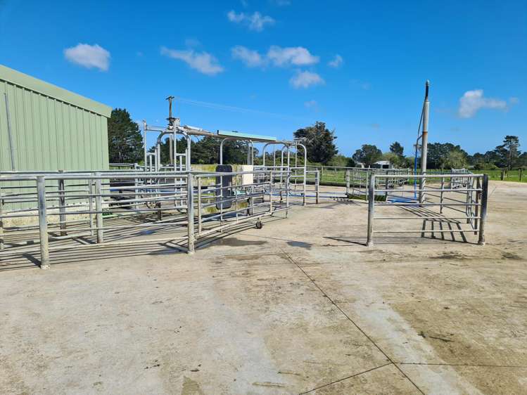 677 Newall Road Newall_9