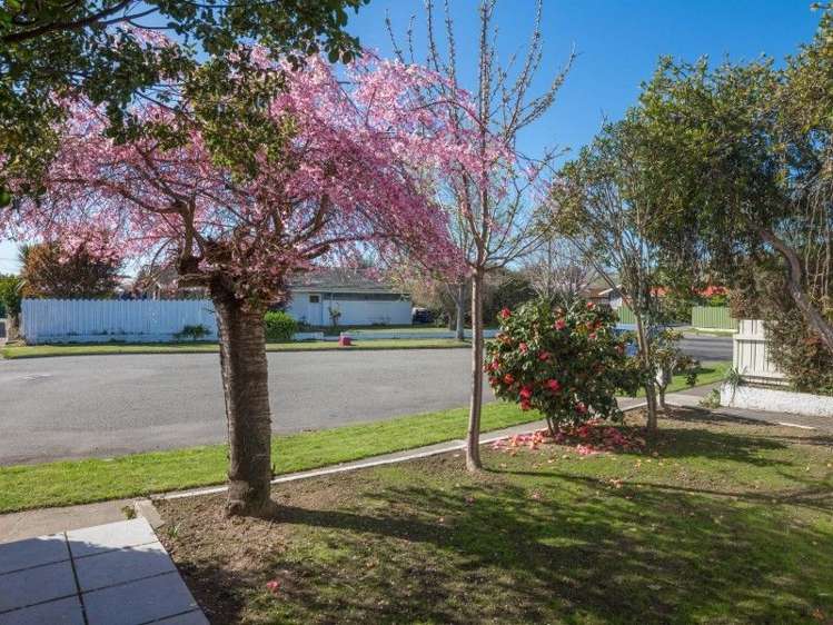 17 Lynley Crescent Blenheim Central_19