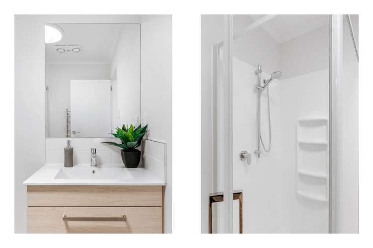 5 Te Ara Tanekaha Omokoroa_5