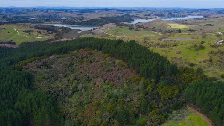 609b Bickerstaffe Road Maungaturoto_6