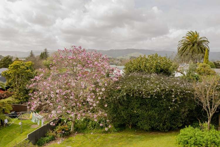 11a Glen Street Levin_29