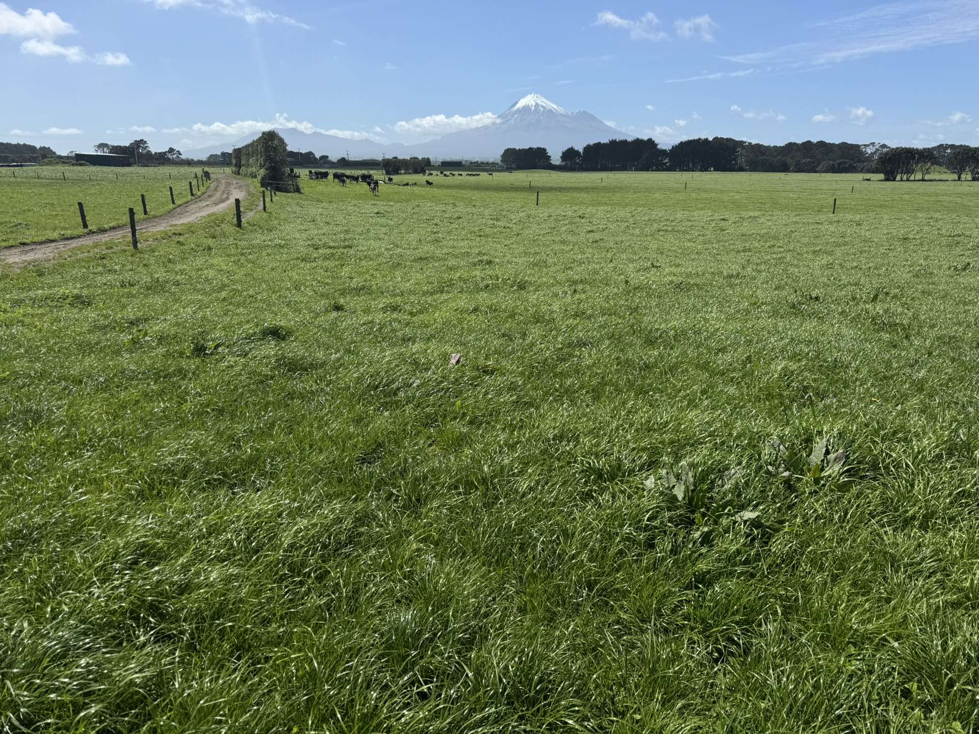 103 Turu Road Oaonui_0