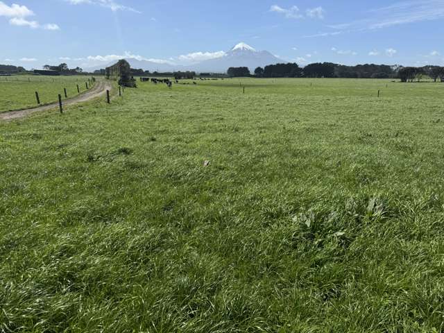 Often Sought After - Seldom Found!