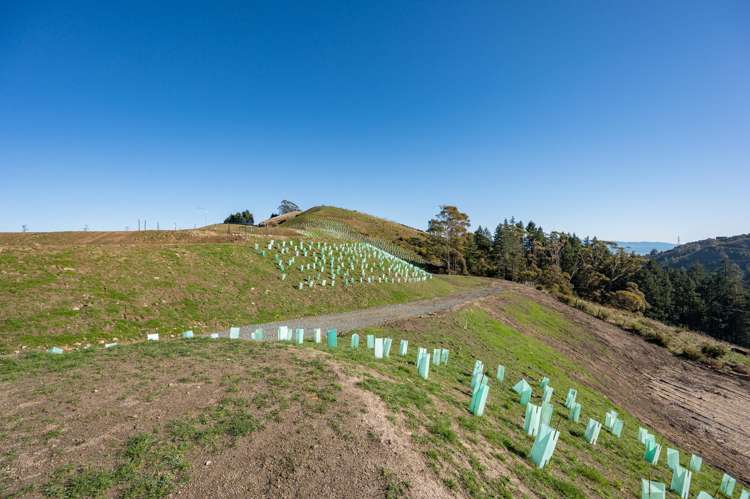 Lot 402 50 Quail Rise_0