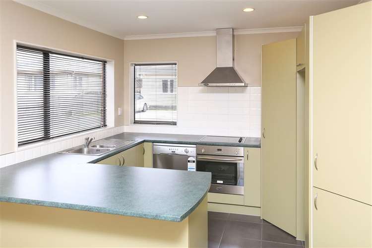 225b Fox Street Hamilton East_3