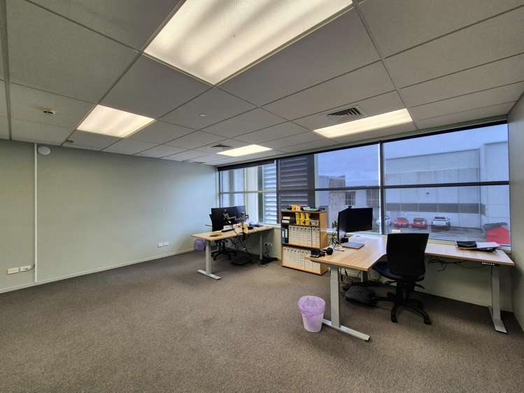 309 Rosebank Road Avondale_7