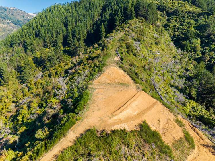 State Highway 6 Havelock_11