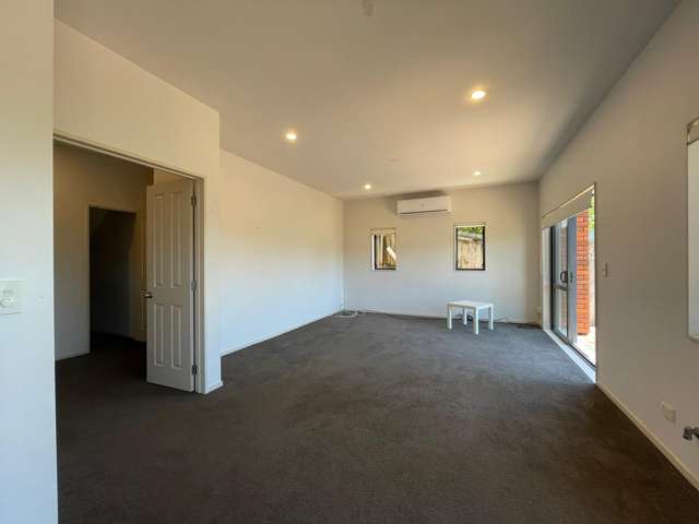 509A Hillsborough Road Mount Roskill_2