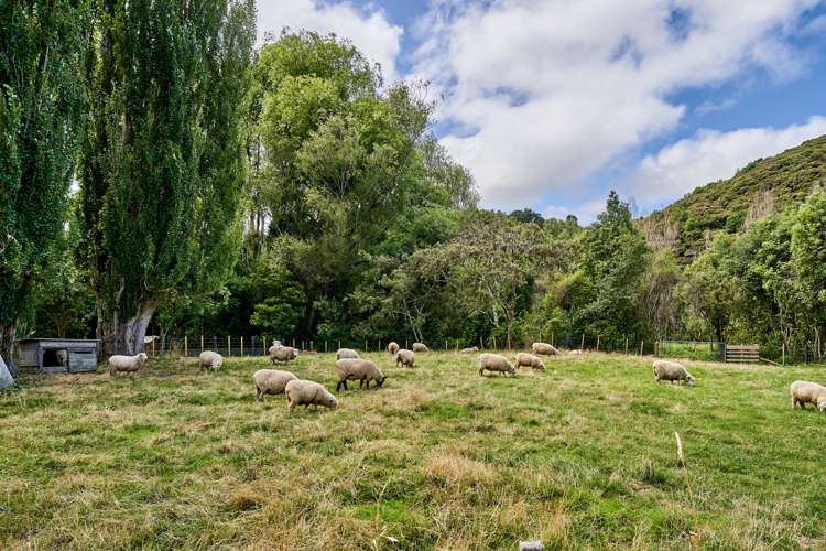 1119 Moonshine Road Judgeford_18